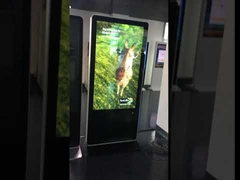 Señalización digital sin gafas