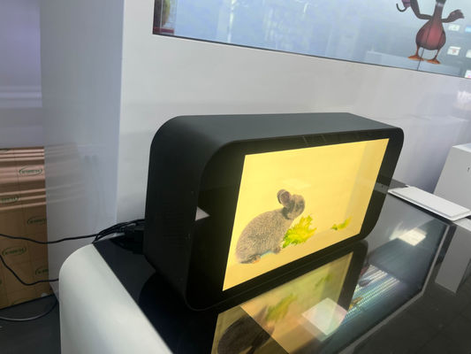 Indoor 3D Transparent LCD Screen